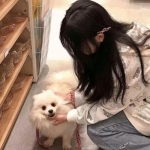 鸿图归来游戏下载